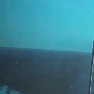 Meet your Posher, Angelina